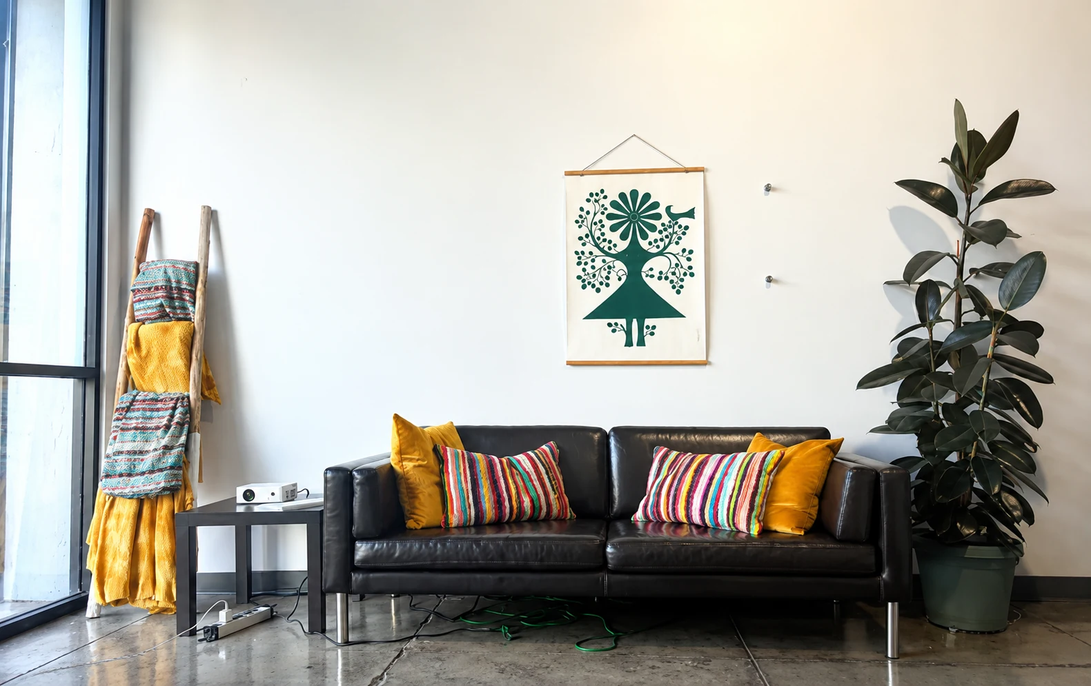 Sunlit SoCo lounge with a black sofa, colorful cushions, and a tall plant